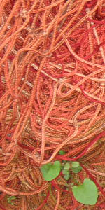 mer
